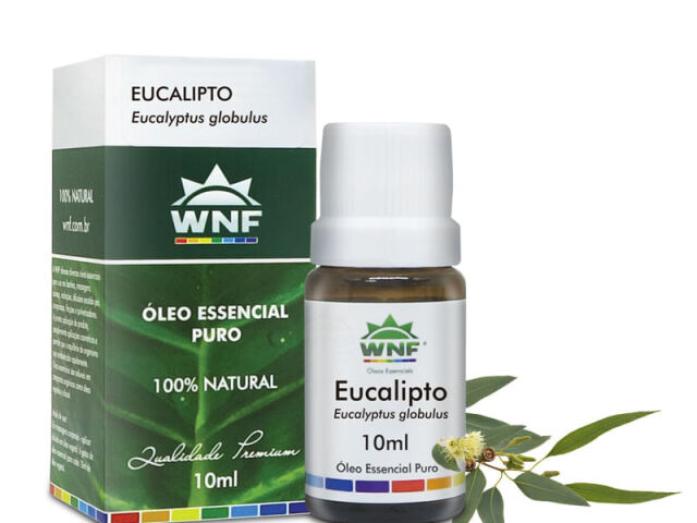 Eucalipto