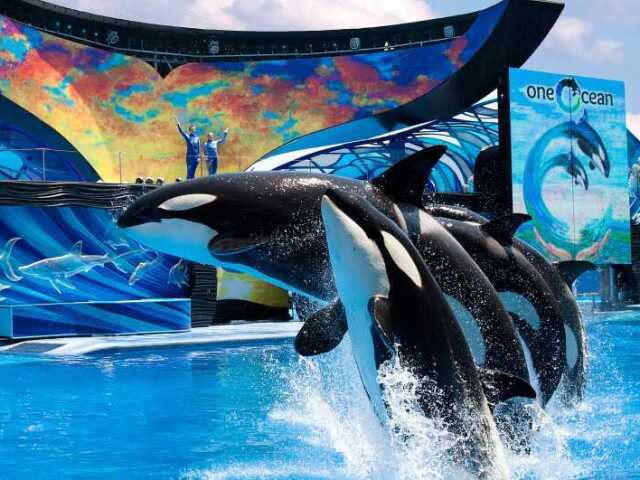 Sea World