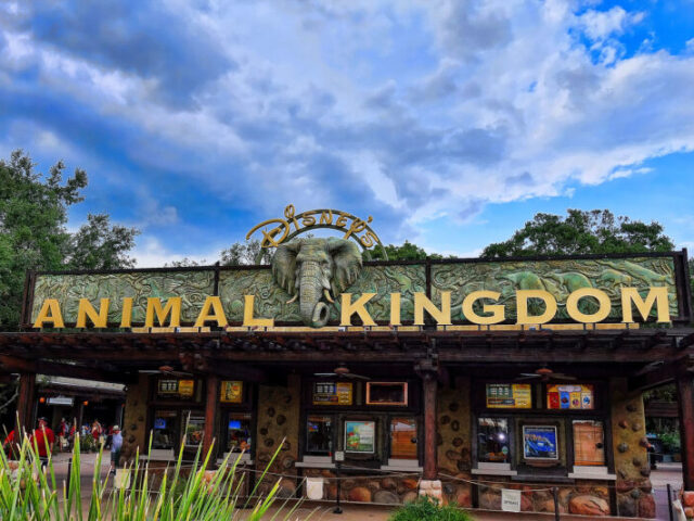 Animal Kingdom