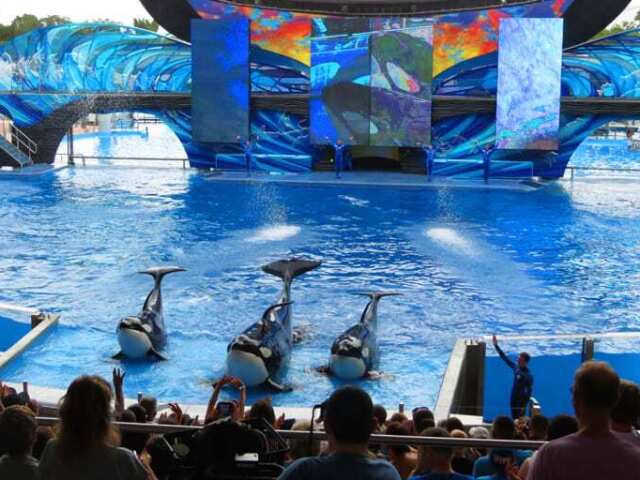 Sea World