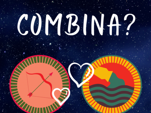 Signos que combinam