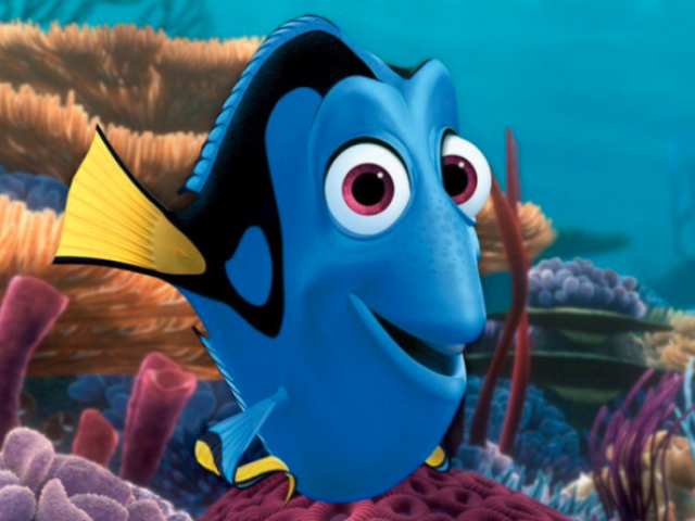 Dory