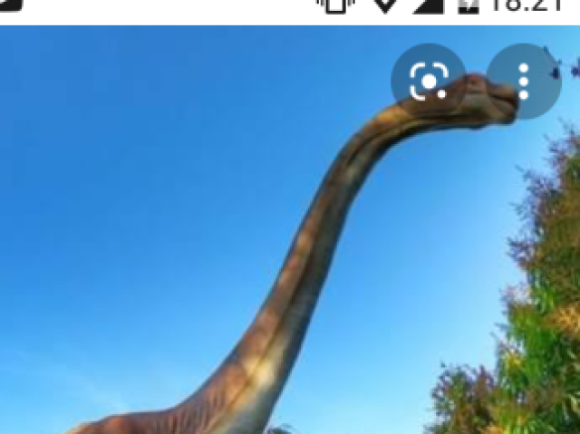 Apatosauro