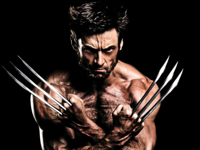 Wolverine