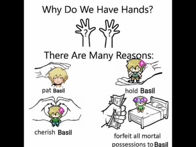 Basil