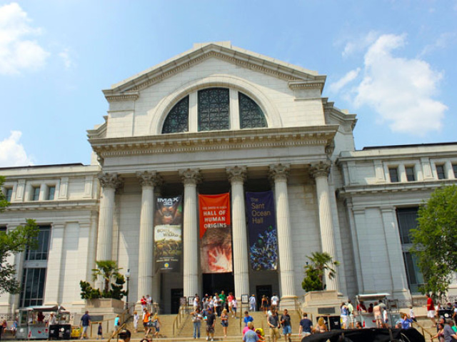 Museu Nacional de história natural de Washington nos Estados Unidos.