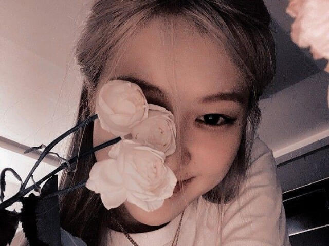 Toma essas flores pra vc,fera d+++