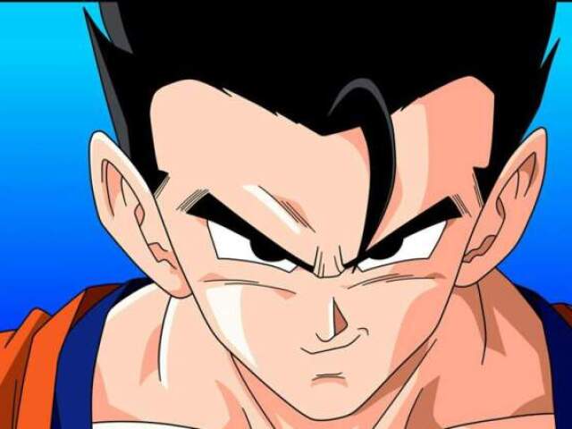 gohan