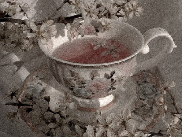 {-soft-}