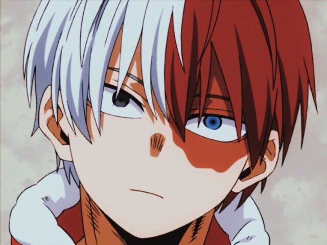 •{Será que conheces o Todoroki?}•