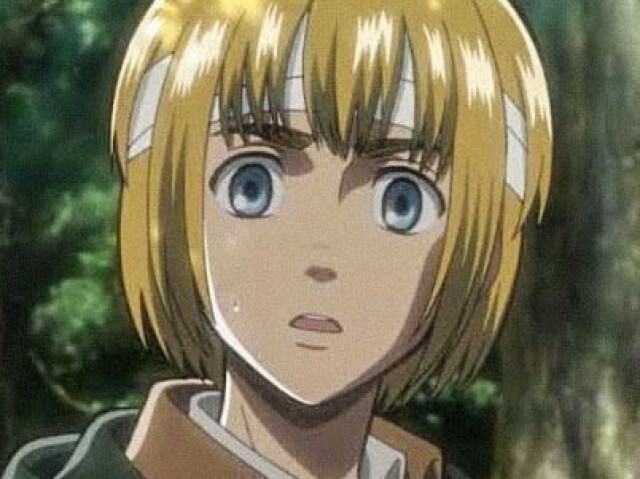 Armin Arlert