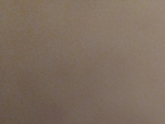 Nenhum! nn quero gato