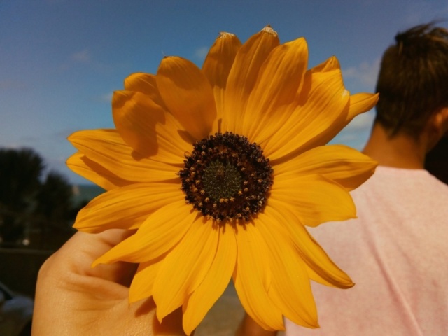 U're my sun