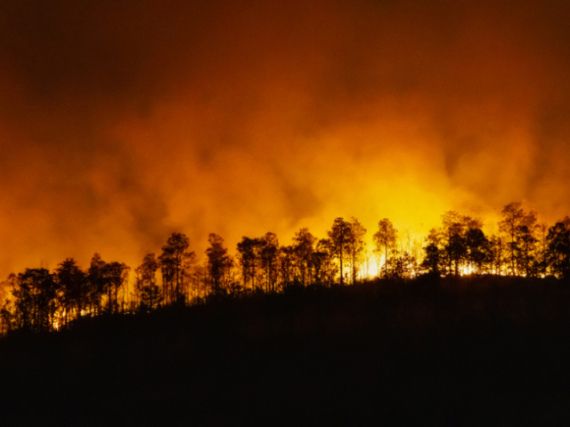 Queimadas na Amazônia e destruição do meio ambiente