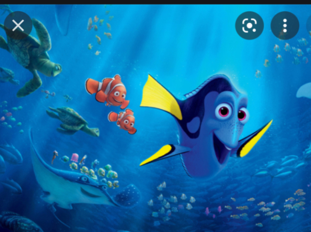 Dory