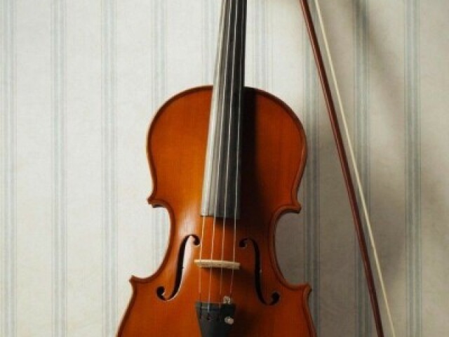 O violino