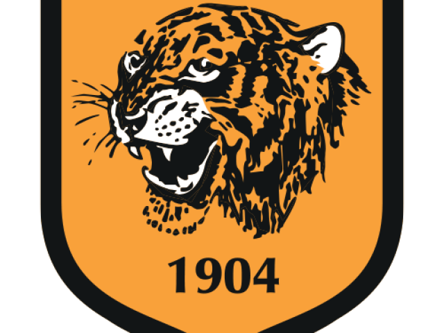 Hull City