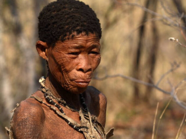 Khoisans