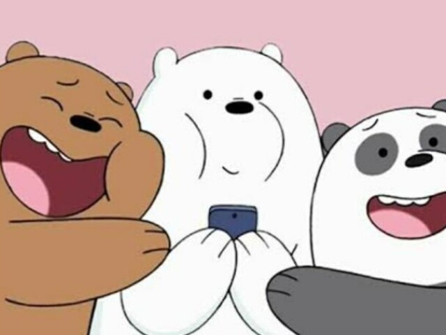 Quem vocĂȘ seria em urso sem curso?