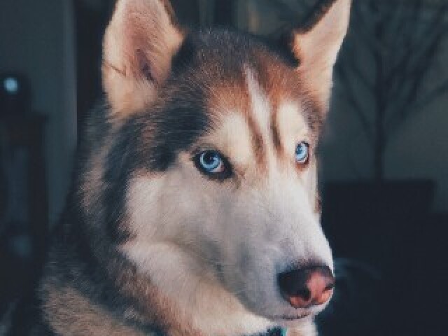 LINDO olhos azuis aa😍😍