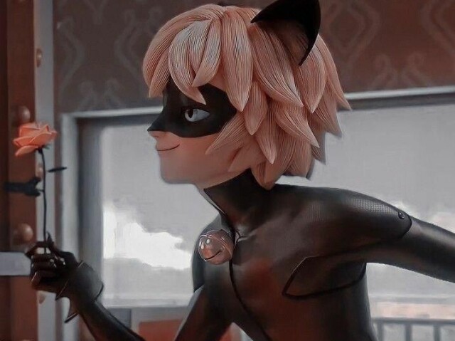 Cat Noir