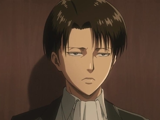 Levi Ackerman (um pouco perfeccionista, talvez)