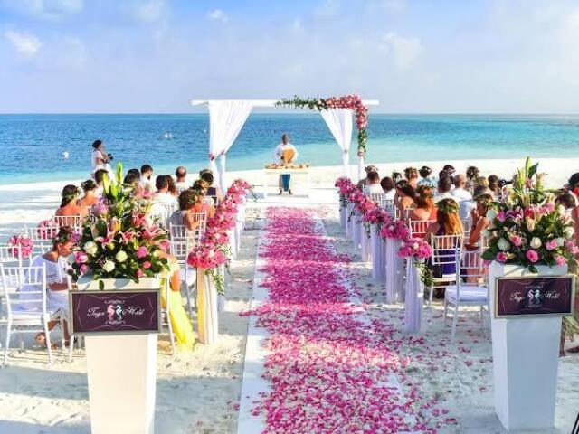 Na praia com lindas rosas cor de rosa espalhadas