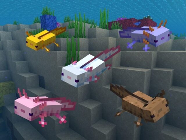 Qual cor de Axolote do Mine você seria?