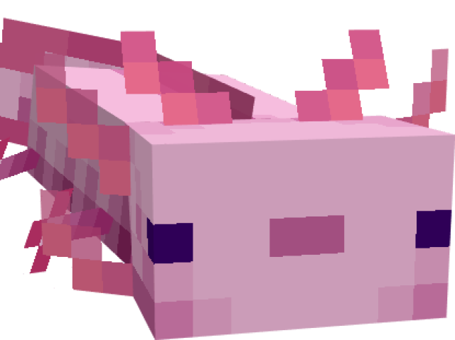 Pink Axolotl