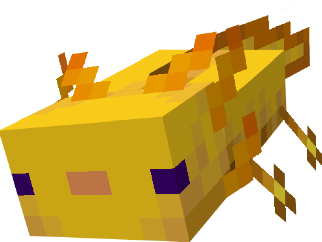 Gold Axolotl