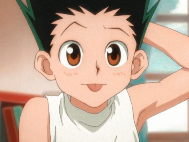 “Amigos podem seguir caminhos diferentes, mas não deixam de ser amigos.” -Gon, Hunter x Hunter