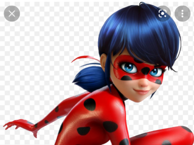 Ladybug