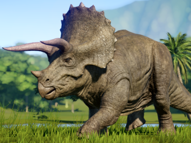 triceratops