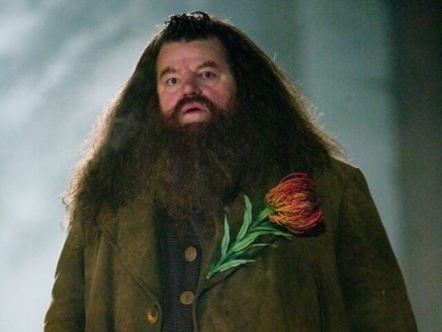 Hagrid