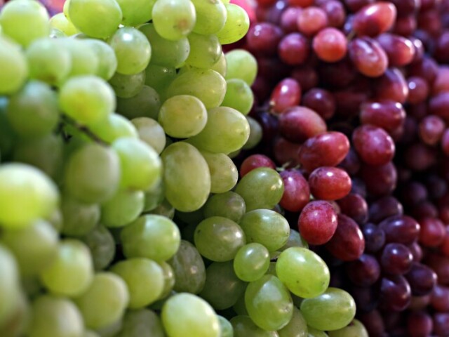 Uvas