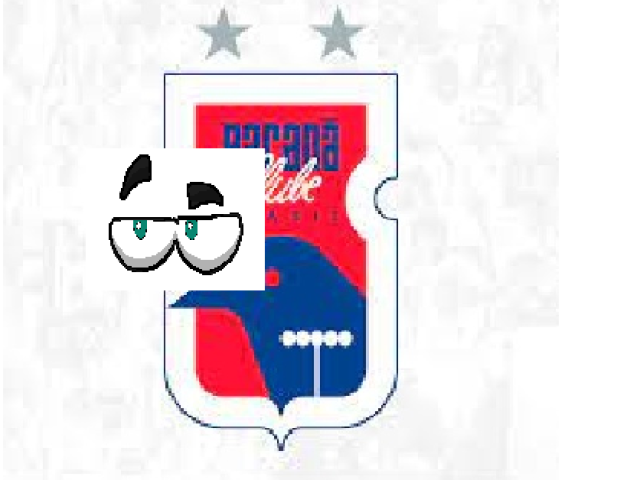 3. Paraná Clube