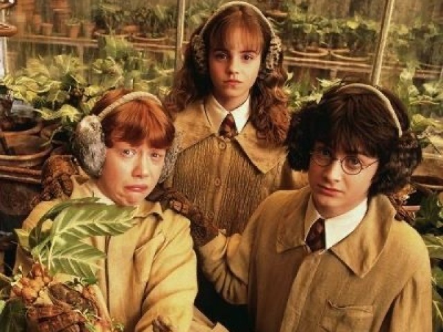 Harry potter e a câmera secreta