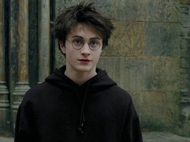 Você conhece Harry Potter? (animais fantásticos)