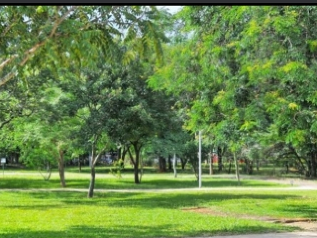 Parque