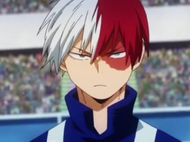 5- Todoroki