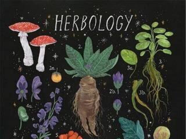 Herbologia