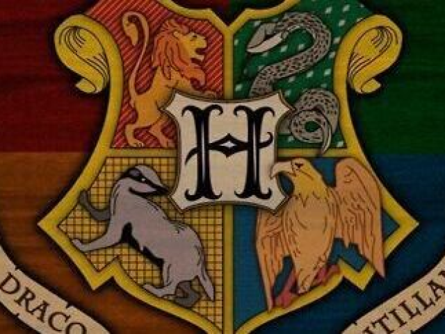 Sua vida em Hogwarts