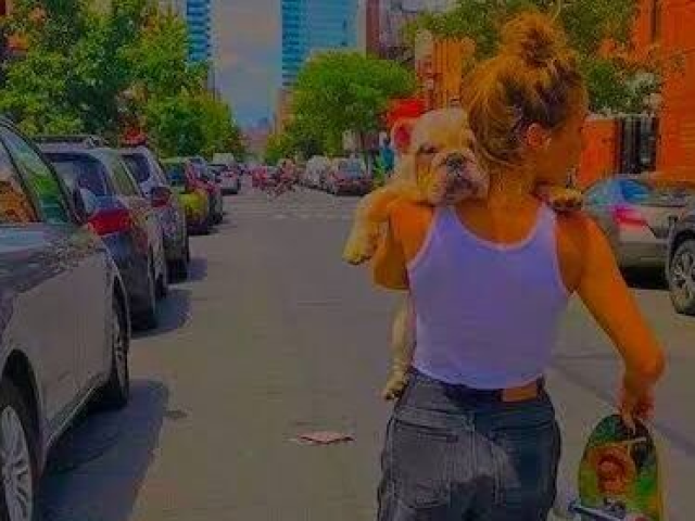 Vida Nova