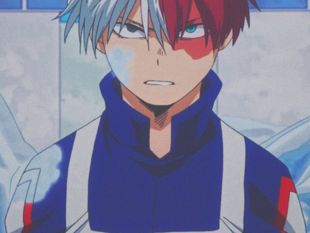 Shoto Todoroki