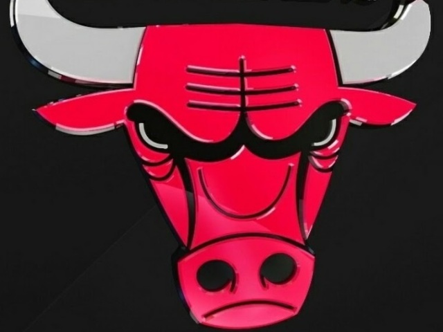 Chicago Bulls