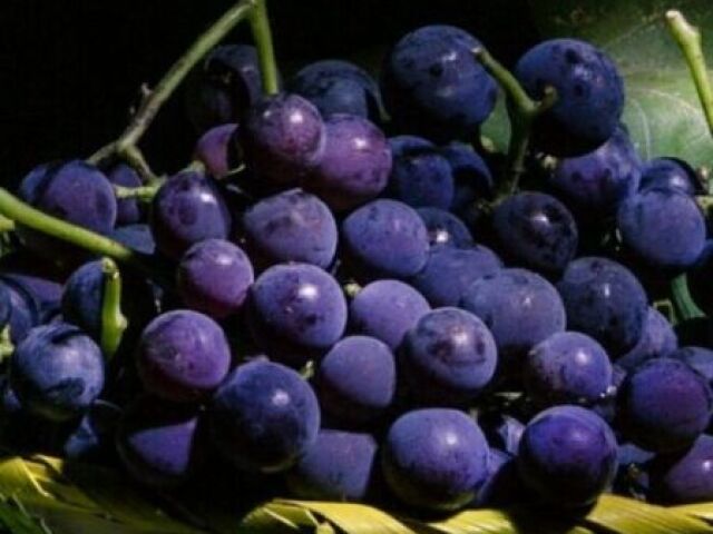 Uvas