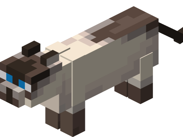 Gato
