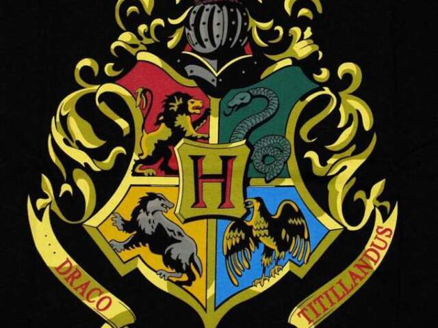 Você é mais Hermione Granger, Draco Malfoy, Luna Lovegood ou Cedrico Diggory?