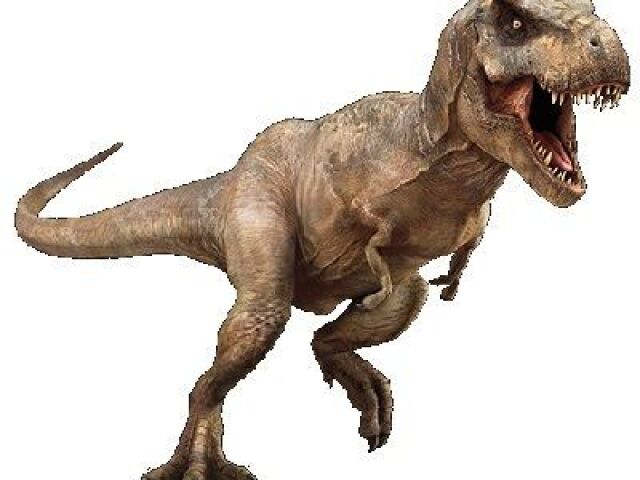 Rex