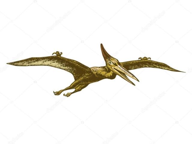 Pterodáctilo